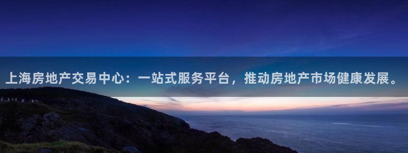娱乐风暴系统：上海房地产交易中心：一站式服务平台，推动房地产