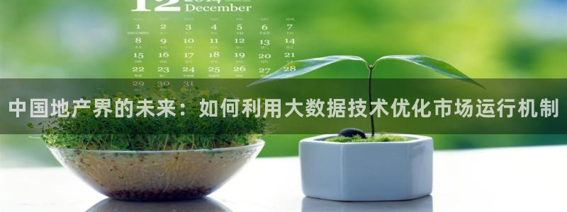 娱乐风暴系统：中国地产界的未来：如何利用大数据技术优化市场运