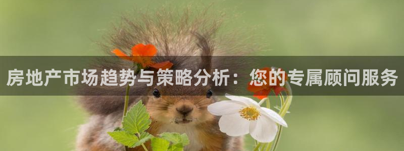 风暴娱乐官网开户：房地产市场趋势与策略分析：您的专属顾问服务