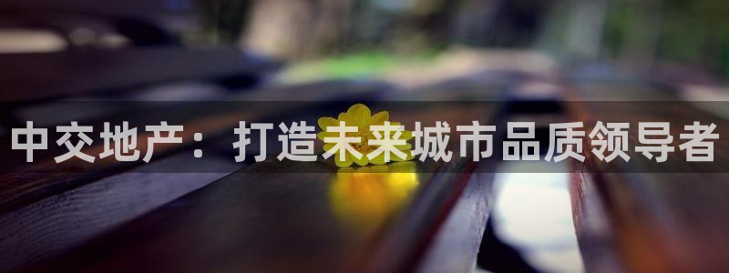 娱乐风暴系统：中交地产：打造未来城市品质领导者