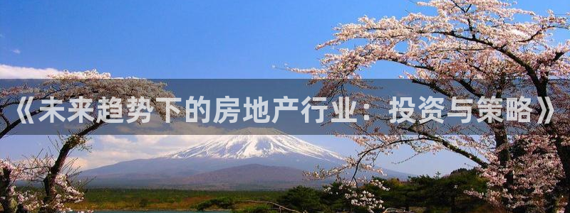 风暴娱乐字图片大全：《未来趋势下的房地产行业：投资与策略》