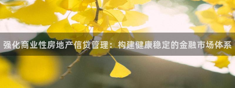 菲律宾风暴娱乐集团：强化商业性房地产信贷管理：构建健康稳定的