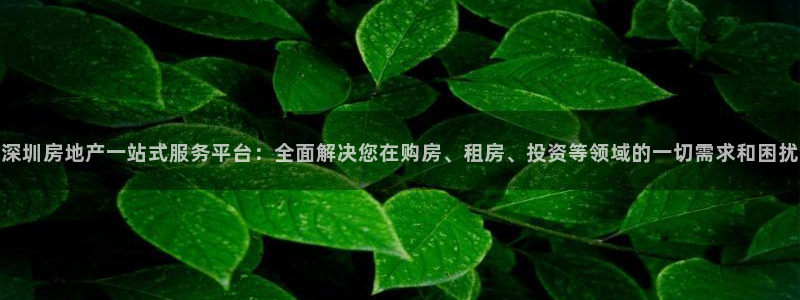 风暴娱乐实况：深圳房地产一站式服务平台：全面解决您在购房、租