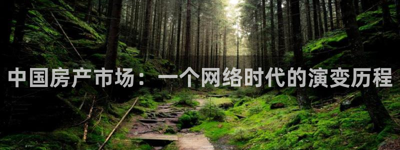 风暴娱乐园：中国房产市场：一个网络时代的演变历程