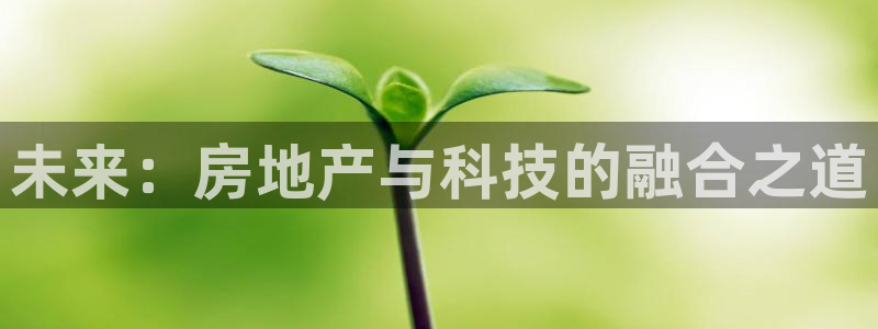 风暴娱乐 平台首页：未来：房地产与科技的融合之道