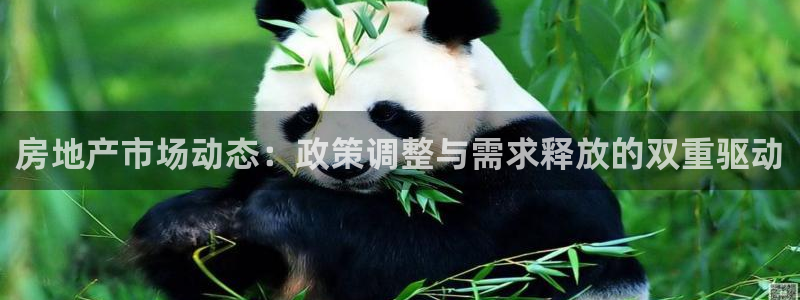 风暴娱乐字图片大全：房地产市场动态：政策调整与需求释放的双重