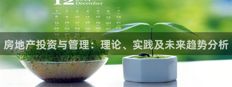 风暴娱乐344272：房地产投资与管理：理论、实践及未来趋势