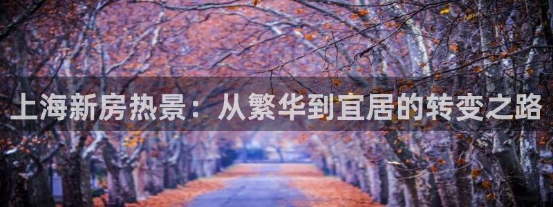 风暴娱乐字图片大全：上海新房热景：从繁华到宜居的转变之路