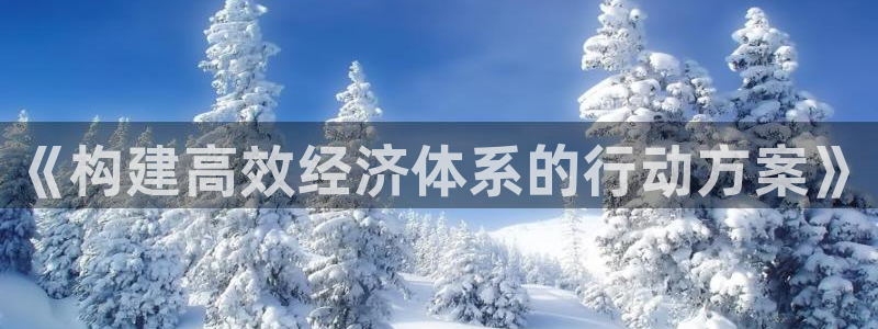 风暴娱乐主管是谁：《构建高效经济体系的行动方案》