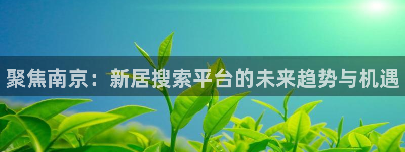 风暴娱乐1980：聚焦南京：新居搜索平台的未来趋势与机遇
