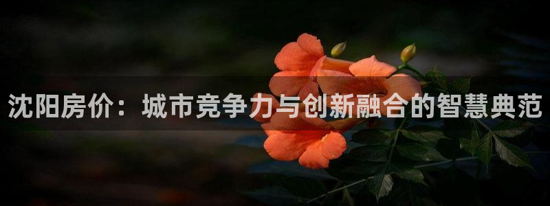 娱乐风暴2：沈阳房价：城市竞争力与创新融合的智慧典范