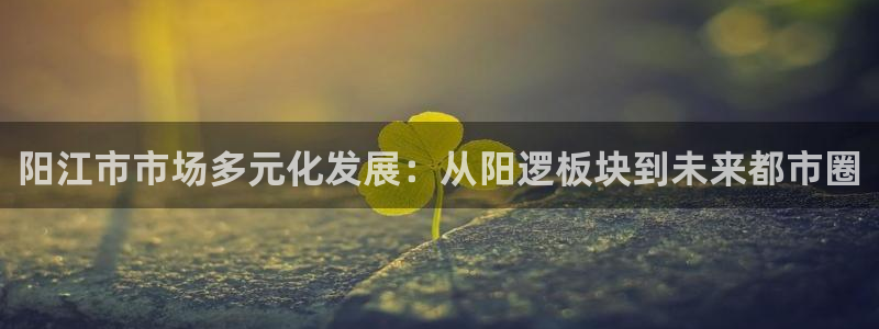 风暴娱乐下载地址：阳江市市场多元化发展：从阳逻板块到未来都市