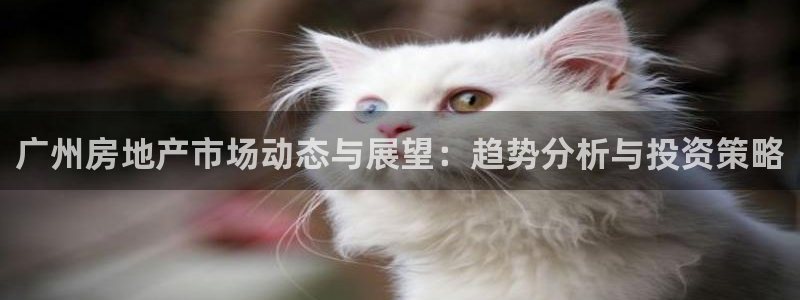 娱乐风暴合集：广州房地产市场动态与展望：趋势分析与投资策略