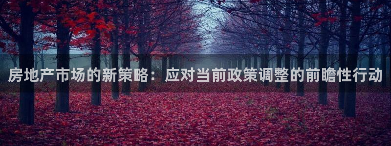 风暴娱乐开户：房地产市场的新策略：应对当前政策调整的前瞻性行
