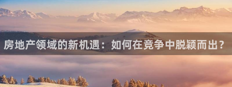 风暴娱乐园：房地产领域的新机遇：如何在竞争中脱颖而出？