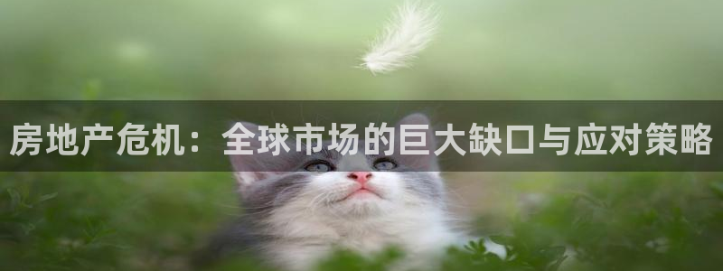 风暴娱乐厅：房地产危机：全球市场的巨大缺口与应对策略