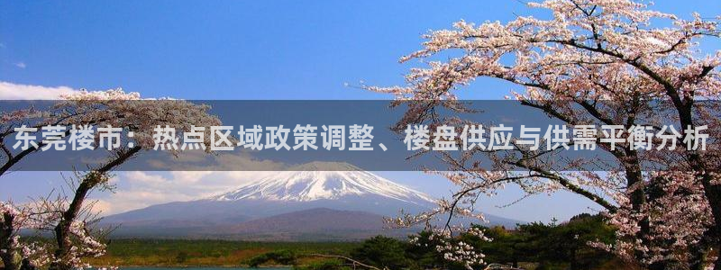 娱乐风暴开头：东莞楼市：热点区域政策调整、楼盘供应与供需平衡