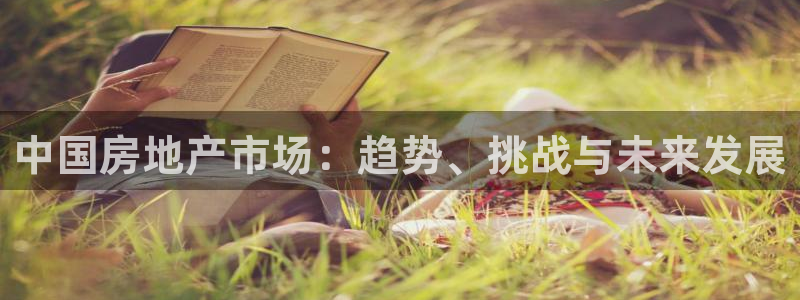 娱乐星空风暴：中国房地产市场：趋势、挑战与未来发展