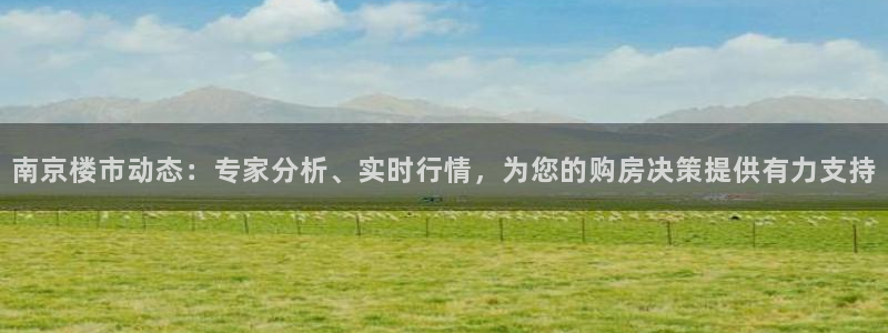 风暴娱乐下载地址：南京楼市动态：专家分析、实时行情，为您的购