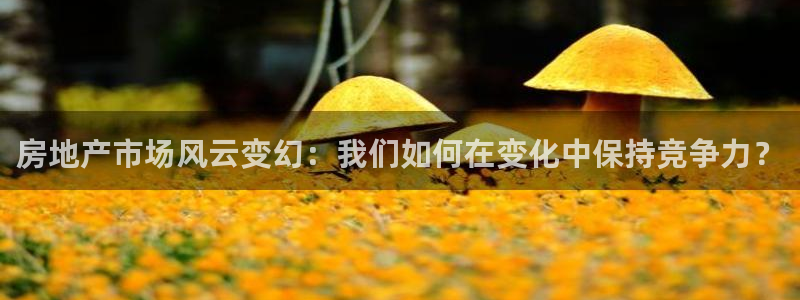 风暴新娱乐：房地产市场风云变幻：我们如何在变化中保持竞争力？