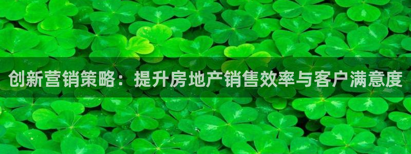 万万娱乐风暴：创新营销策略：提升房地产销售效率与客户满意度