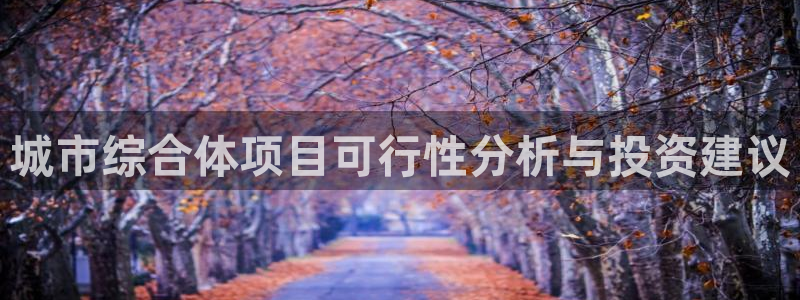 风暴娱乐测速：城市综合体项目可行性分析与投资建议