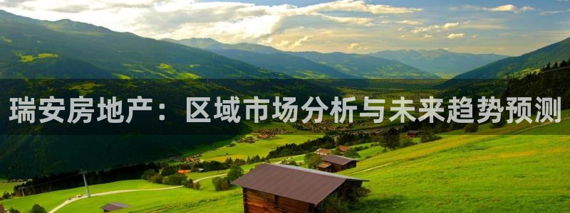 4120051风暴娱乐：瑞安房地产：区域市场分析与未来趋势预