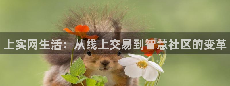 注册风暴娱乐：上实网生活：从线上交易到智慧社区的变革