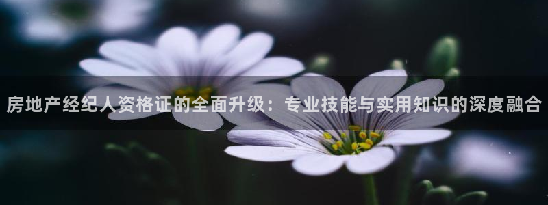 风暴娱乐厅：房地产经纪人资格证的全面升级：专业技能与实用知识