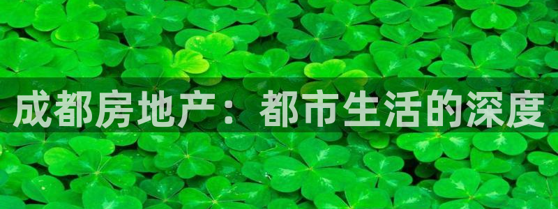 风暴娱乐fb：成都房地产：都市生活的深度