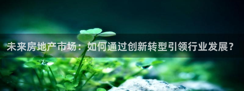 风暴娱乐待遇：未来房地产市场：如何通过创新转型引领行业发展？