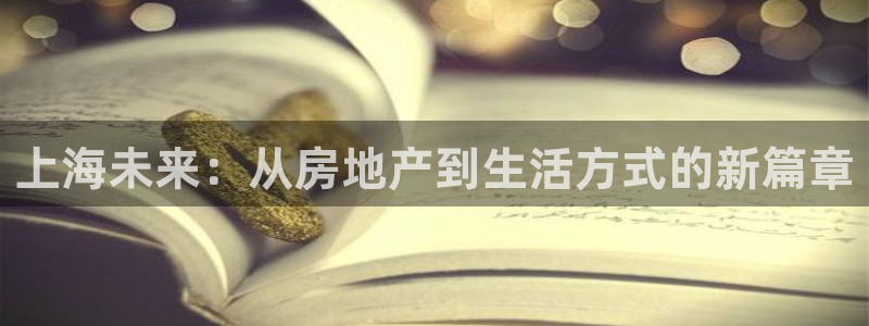 风暴数字娱乐：上海未来：从房地产到生活方式的新篇章
