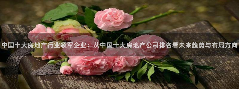 光风暴娱乐：中国十大房地产行业领军企业：从中国十大房地产公司