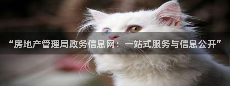 风暴娱乐求333OOf：“房地产管理局政务信息网：一站式服务