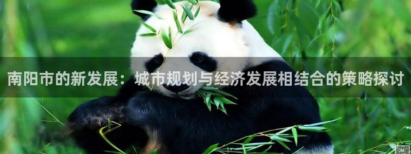 风暴娱乐测速：南阳市的新发展：城市规划与经济发展相结合的策略