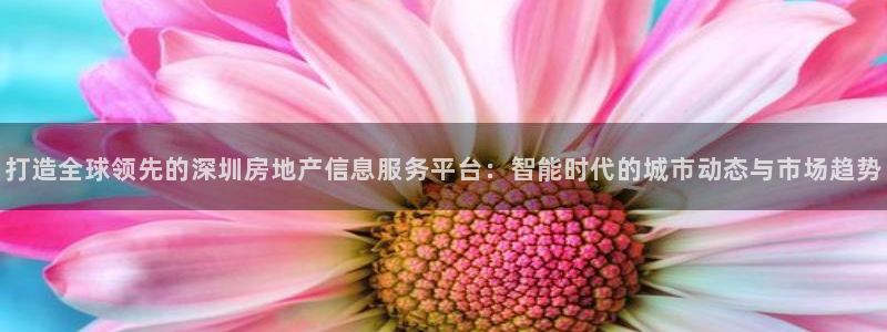 风暴娱乐字图片大全：打造全球领先的深圳房地产信息服务平台：智