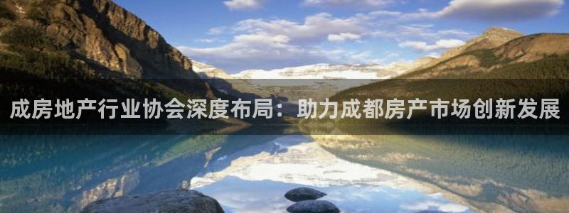 风暴娱乐1980：成房地产行业协会深度布局：助力成都房产市场