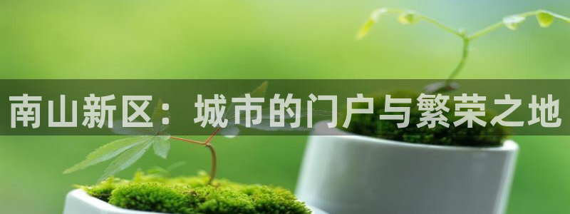 风暴娱乐 风暴注册平台：南山新区：城市的门户与繁荣之地