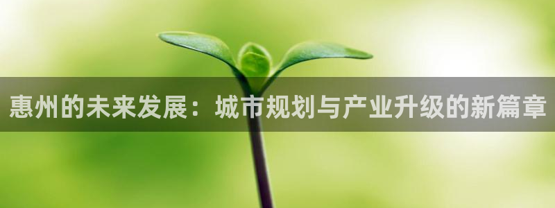 娱乐星空风暴：惠州的未来发展：城市规划与产业升级的新篇章