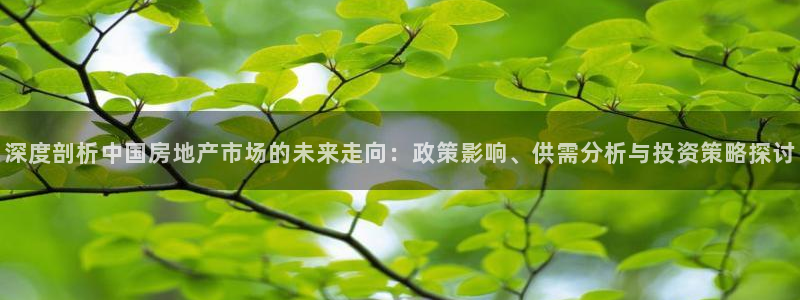 风暴娱乐主页：深度剖析中国房地产市场的未来走向：政策影响、供