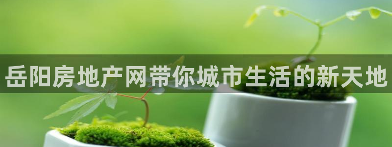 风暴注册娱乐：岳阳房地产网带你城市生活的新天地
