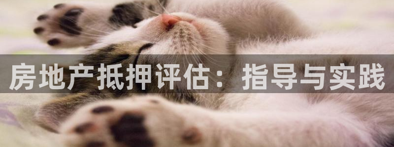 注册风暴娱乐：房地产抵押评估：指导与实践