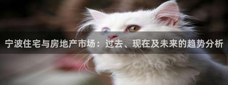风暴娱乐下5指尖：宁波住宅与房地产市场：过去、现在及未来的趋