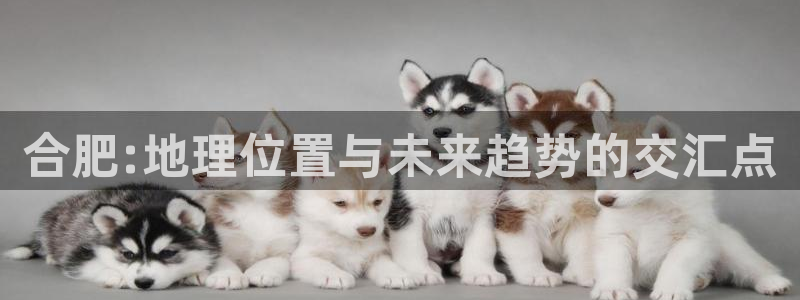 风暴娱乐点：合肥:地理位置与未来趋势的交汇点