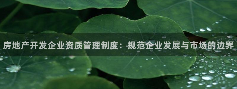 风暴娱乐实况：房地产开发企业资质管理制度：规范企业发展与市场