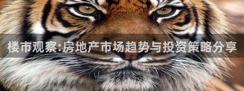 风暴娱乐首页