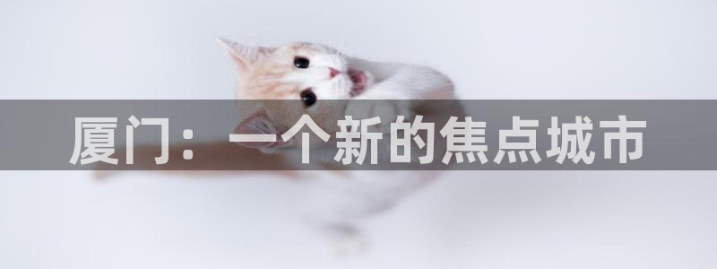 下载风暴娱乐：厦门：一个新的焦点城市