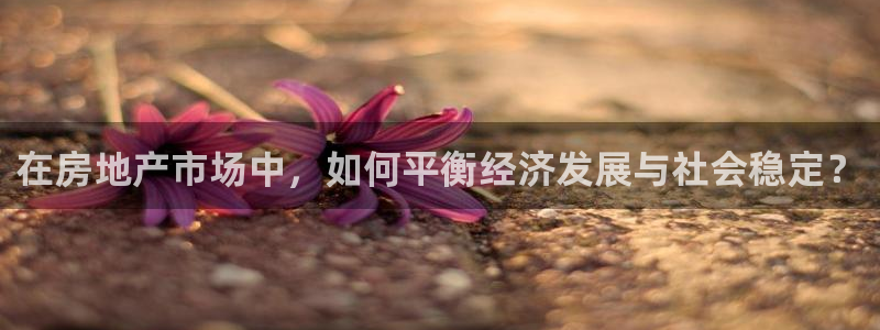 风暴娱乐图片：在房地产市场中，如何平衡经济发展与社会稳定？
