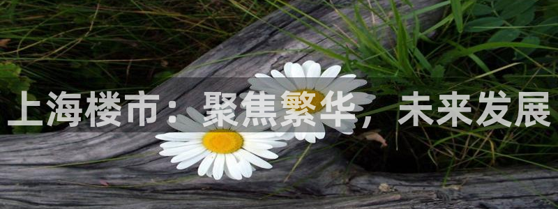 风暴娱乐线路：上海楼市：聚焦繁华，未来发展