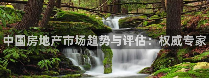 风暴娱乐派对：中国房地产市场趋势与评估：权威专家